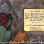 20261114_stolperstein_bild_cr