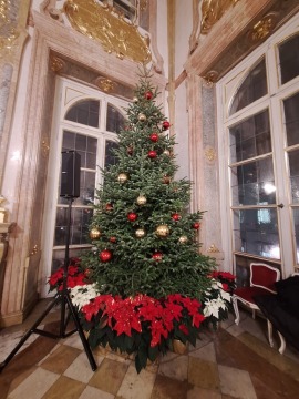 BSA Sbg. Weihnachsfeier 2024